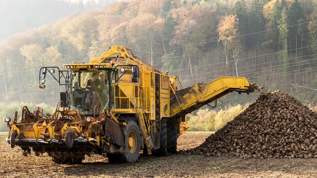 EBITDA-Marge 19–21 % bestätigt oder nicht? KWS SAAT legt am 23. September die Jahreszahlen vor